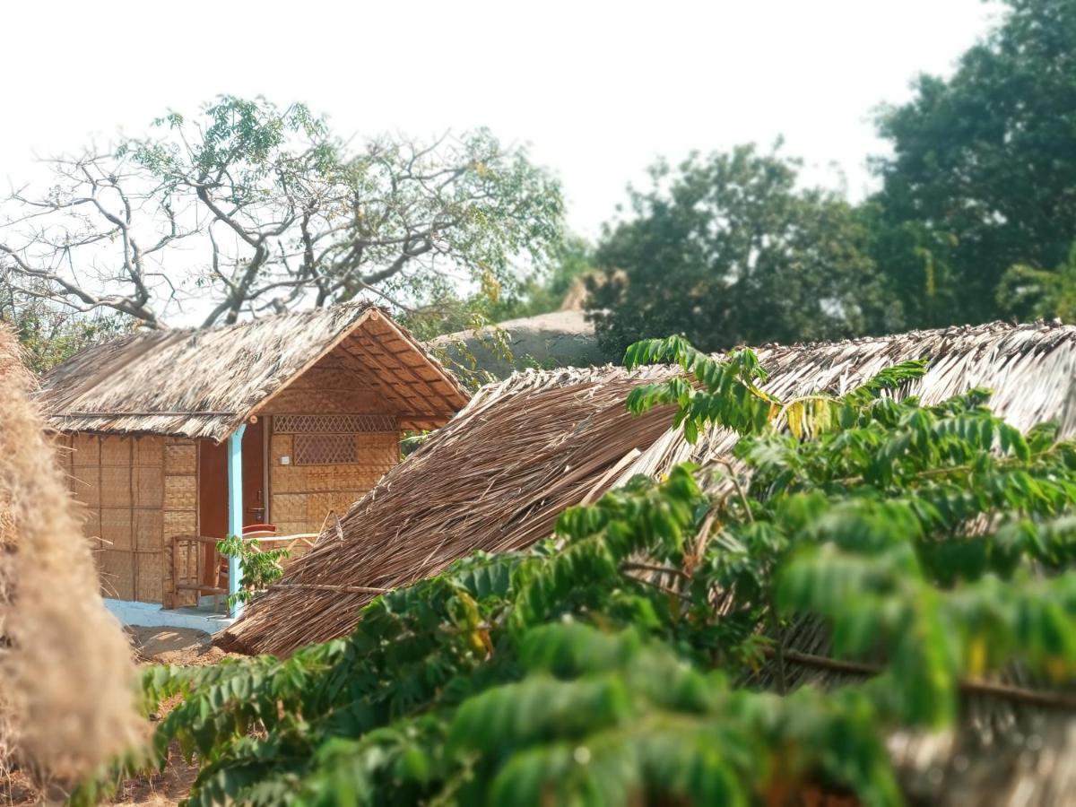 Hampi Nature Cottage Buitenkant foto